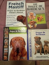 French mastiff dogue for sale  Durant