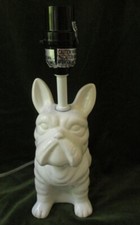 Adorable frenchie white for sale  Spartanburg