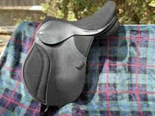 Thorowgood pony long for sale  SALISBURY