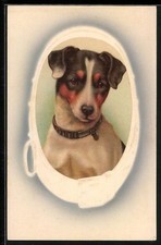 Ansichtskarte fox terrier gebraucht kaufen Ansichtskarte fox terrier gebraucht kaufen  Berlin