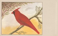 Cpsm oiseau cardinal d'occasion  Reims