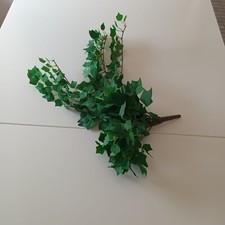 Künstliche efeu 50cm gebraucht kaufen  Rüsselsheim am Main