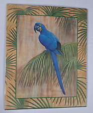 Hyacinth macaw parrot for sale  Denver