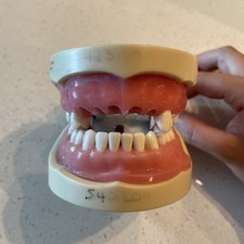 Nissin dental model for sale  Baltimore