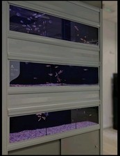 Casco aquarium rack for sale  RUGELEY