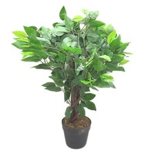 kunstlicher ficus gebraucht kaufen kunstlicher ficus gebraucht kaufen Gunzenhausen