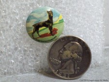 Pinback Doberman Pinscher Vintage Década de 1930 Broche de Cachorro 3/4" Botão de Cachorro de Estanho Antigo Retrô comprar usado  Enviando para Brazil