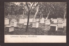 Worcestershire bee keeping for sale  YORK