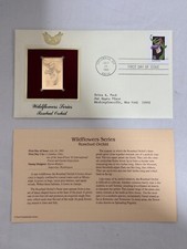 Rosebud orchid wildflower for sale  New Paltz