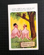 Saucy comic postcard for sale  LONDON