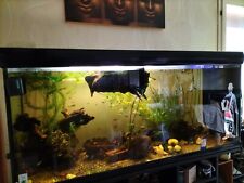 Aquarium meuble poissons d'occasion  Bègles