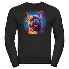 Bullyfriend sweatshirt franzö gebraucht kaufen  Templin