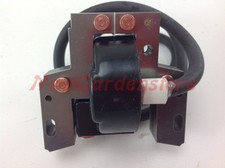 Bobina accensione briggs usato  Ficarolo