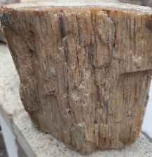 Legno fossile parte usato  Italia