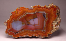 Condor agate half for sale  Tucson