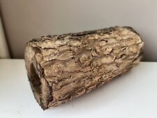 Cordyline log round for sale  CLACTON-ON-SEA