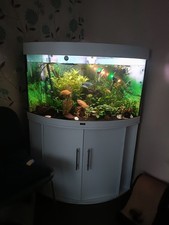 Juwel trigon 190l for sale  MILTON KEYNES