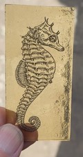 Stained glass seahorse for sale  BATTLE