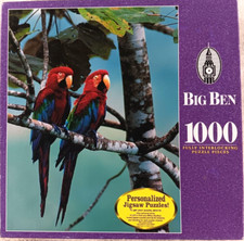 Green winged macaws for sale  League City