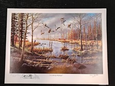 Vtg ken zylla for sale  Schofield
