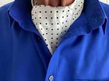 Krawatten schal 2lagige gebraucht kaufen  Hinte