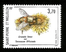 Honey bee st. for sale  Cocoa Beach