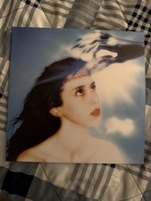 Magdalena Bay Imaginal Disk Blood Recs Records Numbered Vinyl LP /4000 - In-hand, usado comprar usado  Enviando para Brazil