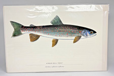 Fish book plate for sale  Souderton
