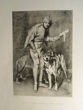 Chiens d'occasion  Périgueux