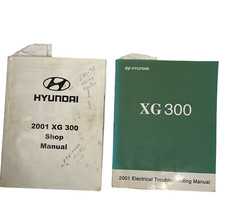 2001 hyundai 300 for sale  Dandridge
