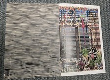 Compilação de livro de arte Luiz Zerbini cosac naify 2013 comprar usado  Enviando para Brazil