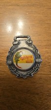 Vintage poll parrot for sale  Fountain