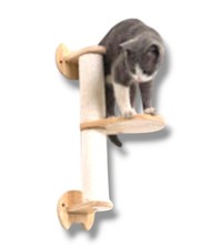 3pcs cat wall for sale  Lincoln