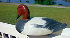 Antique redhead drake for sale  Chandler