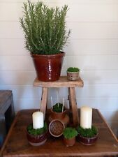 Beautiful large tall for sale  HOCKLEY
