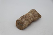 Unknown multiple vertebrae for sale  Lambertville