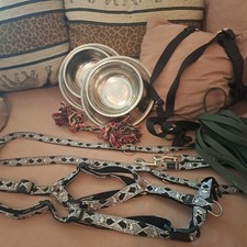 Hunter hundegeschirr leine gebraucht kaufen  Niederfüllbach