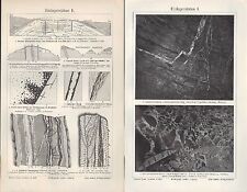 Lithografie 1905 erz gebraucht kaufen  Leipzig