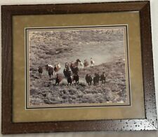 Wild horse herd for sale  Longmont