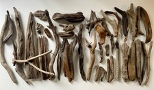 Driftwood sea wood for sale  EDINBURGH
