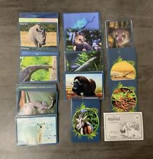 Animaux records lot d'occasion  Narbonne
