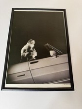 Framed original alfa for sale  WIGAN