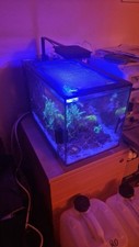 marine aquarium setup for sale marine aquarium setup for sale LEEDS