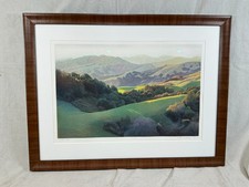 Stephen mcmillan large for sale  Santa Barbara