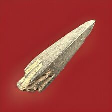 Ancient arrowhead for sale  MANCHESTER