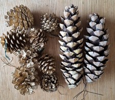 Fir cone christmas for sale Fir cone christmas for sale  MANNINGTREE