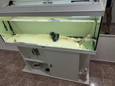 Acquario usato usato  Corigliano Rossano