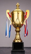 Siegerpokal gold ptik gebraucht kaufen  Nürnberg