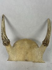 Arkansas whitetail deer for sale  Little Rock