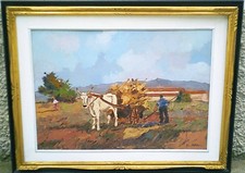 Alfonso papi bue usato  Italia
